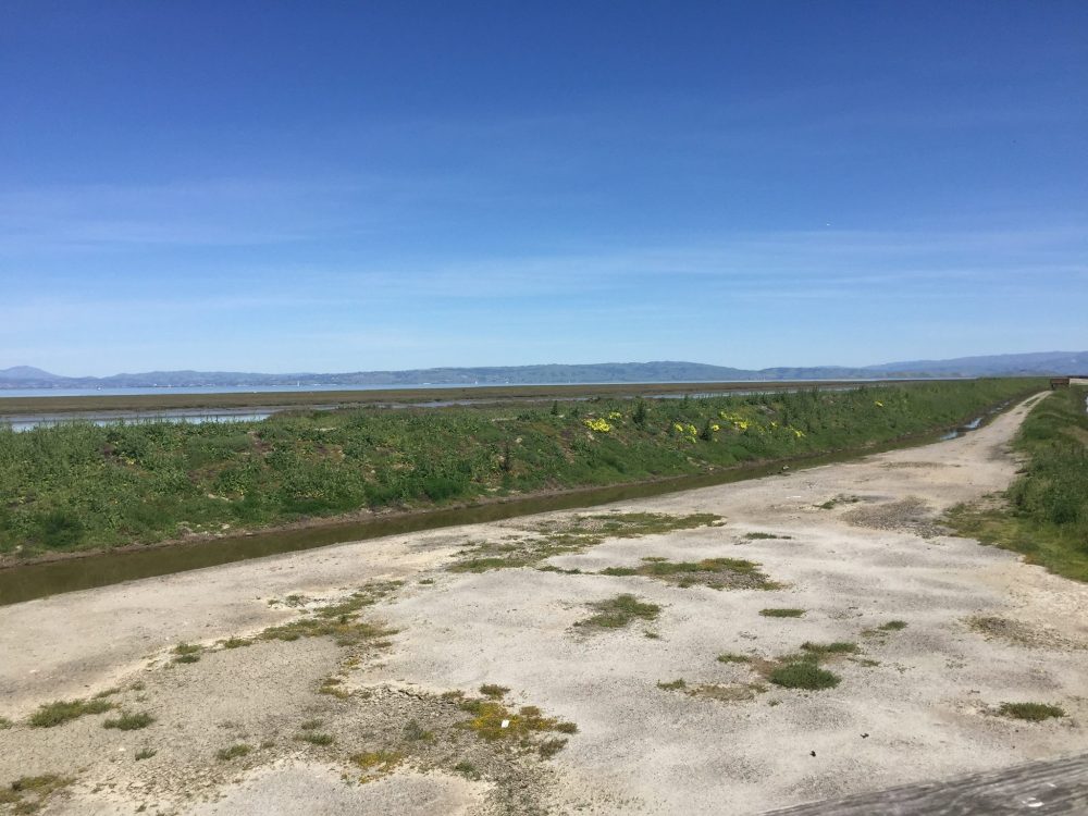 17636787_10155223845727422_5163138319346064677_o