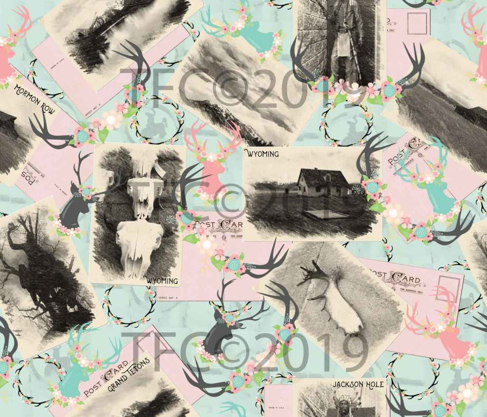 Wyoming-postcardslowlow