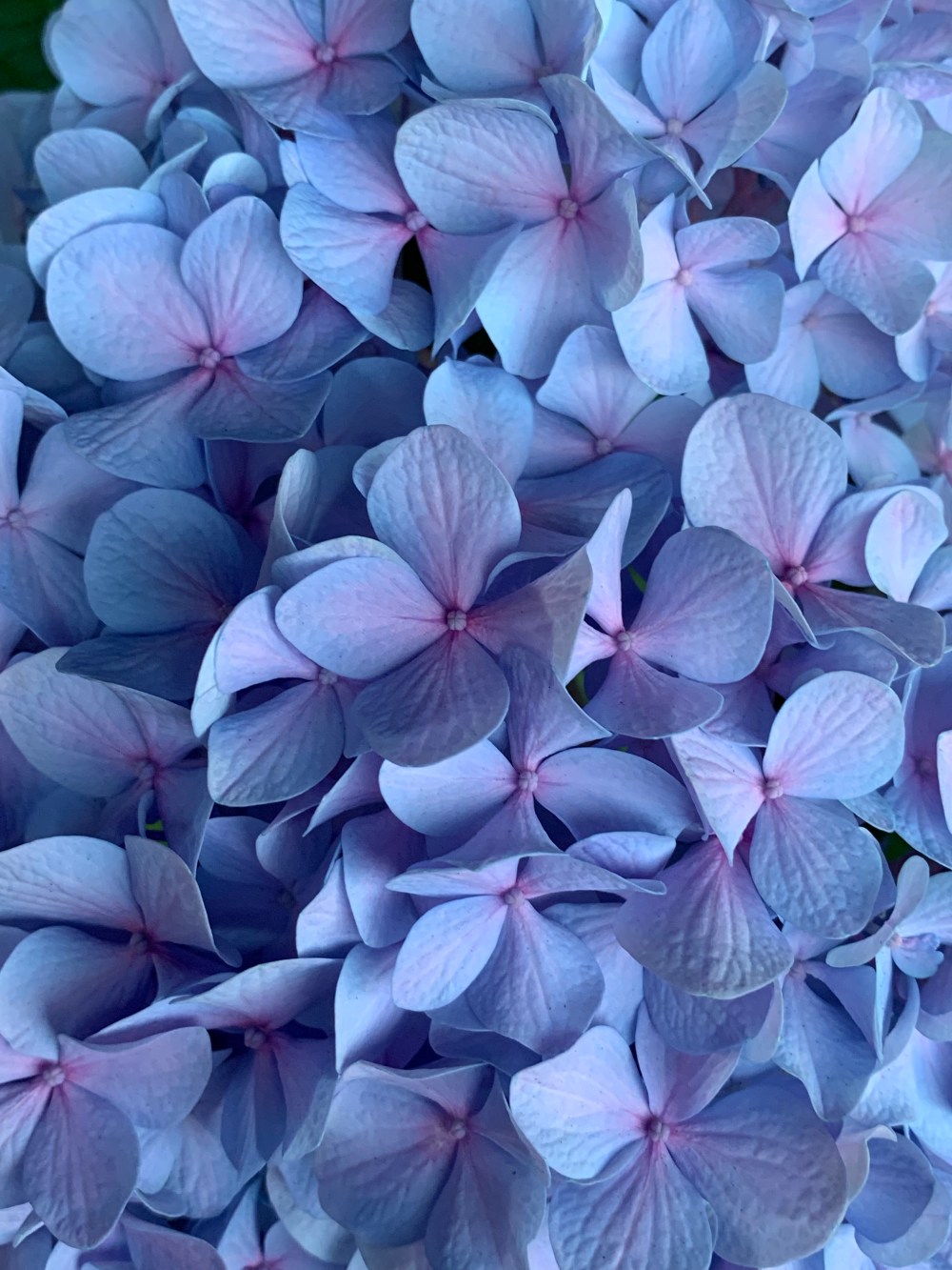 a0x8J+ebTT+6sJdL8FeCXg